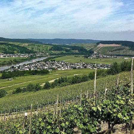 Gaestehaus Hoffmann Farschweiler ภายนอก รูปภาพ