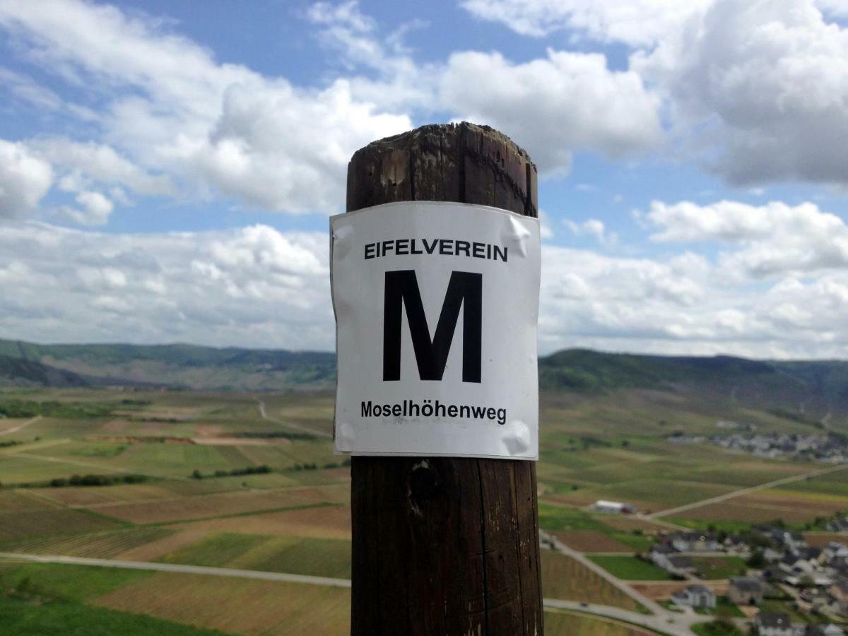 Gaestehaus Hoffmann Farschweiler ภายนอก รูปภาพ
