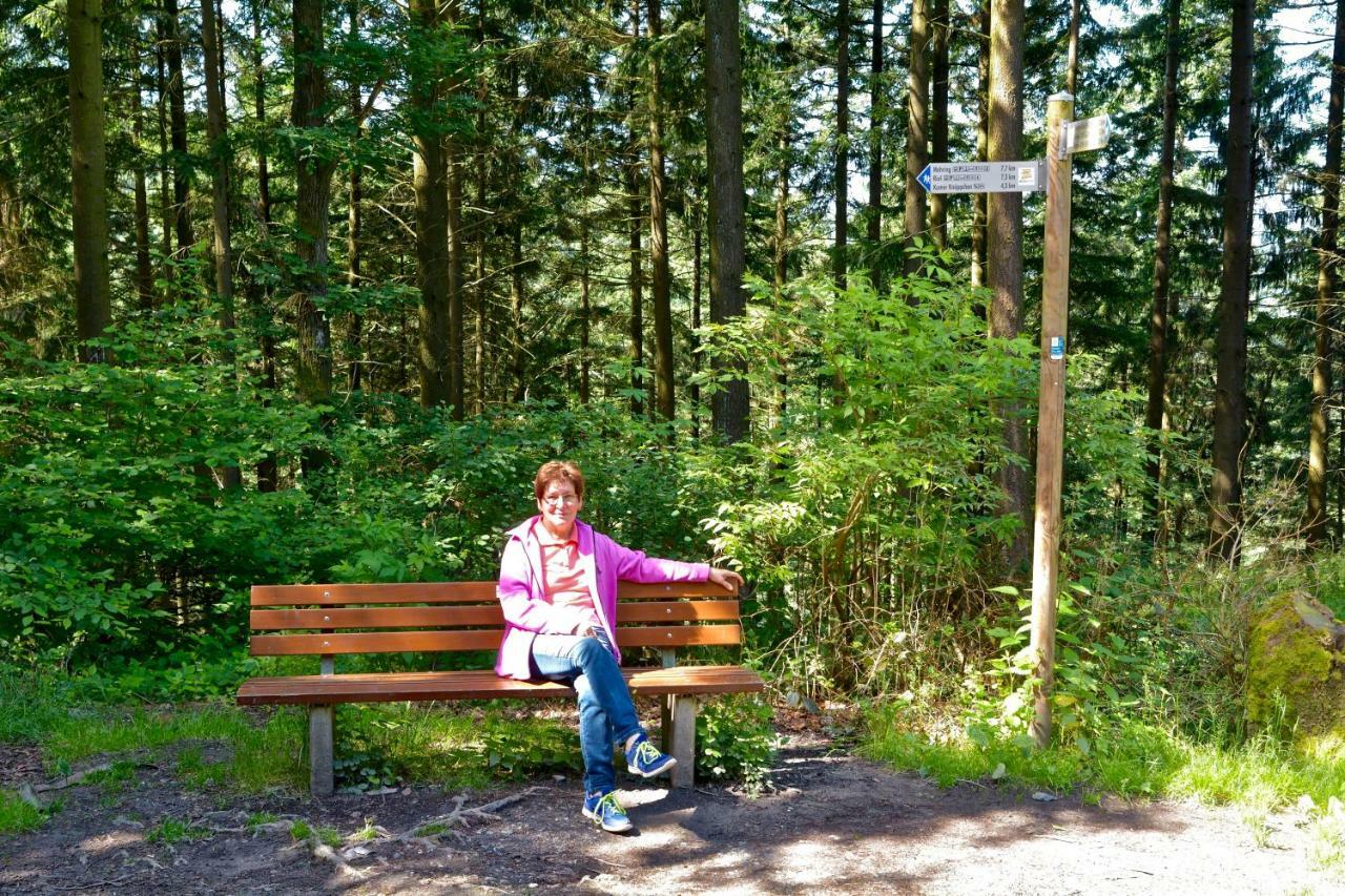 Gaestehaus Hoffmann Farschweiler ภายนอก รูปภาพ
