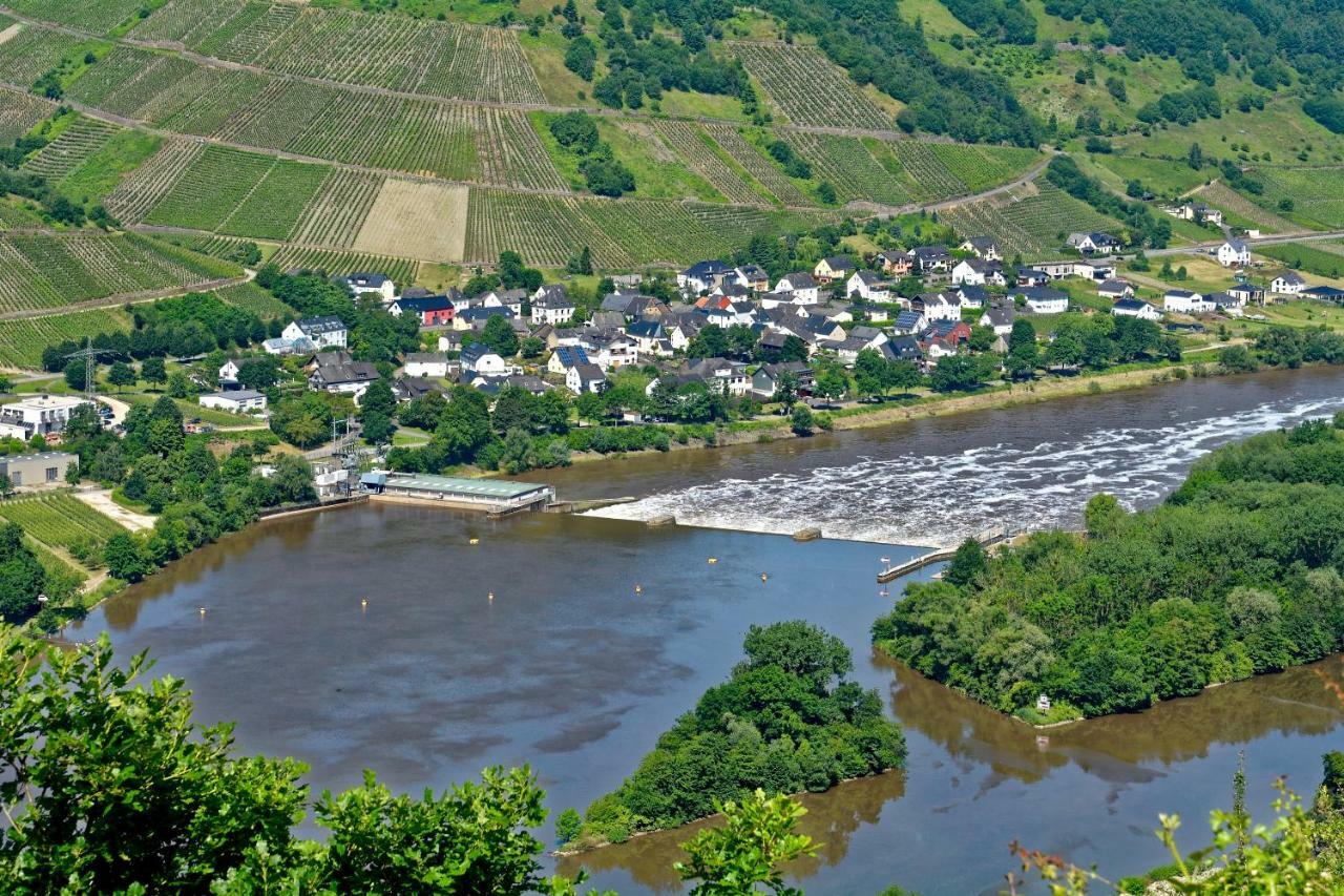 Gastehaus Hoffmann Bed & Breakfast Farschweiler ภายนอก รูปภาพ