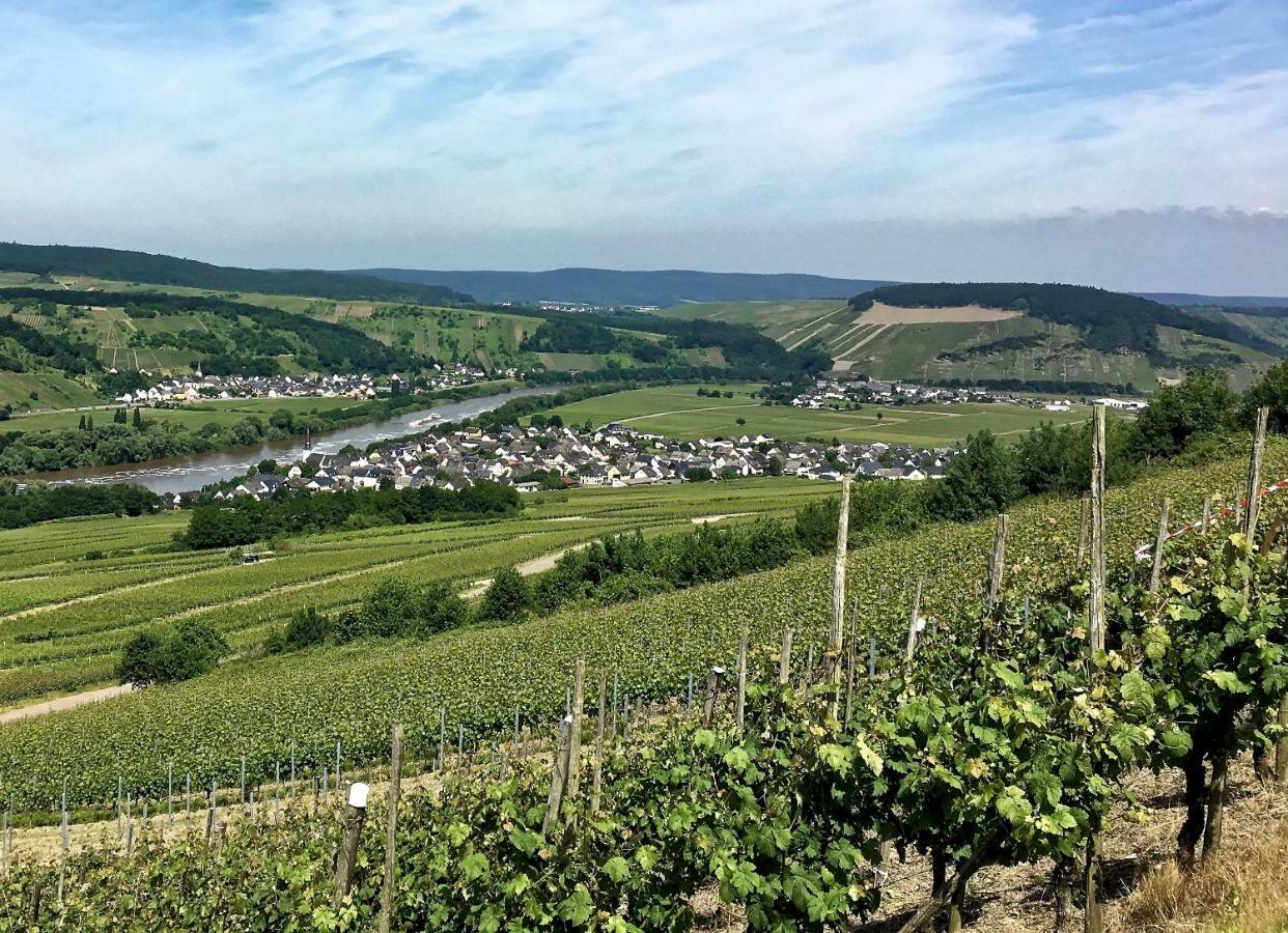 Gaestehaus Hoffmann Farschweiler ภายนอก รูปภาพ
